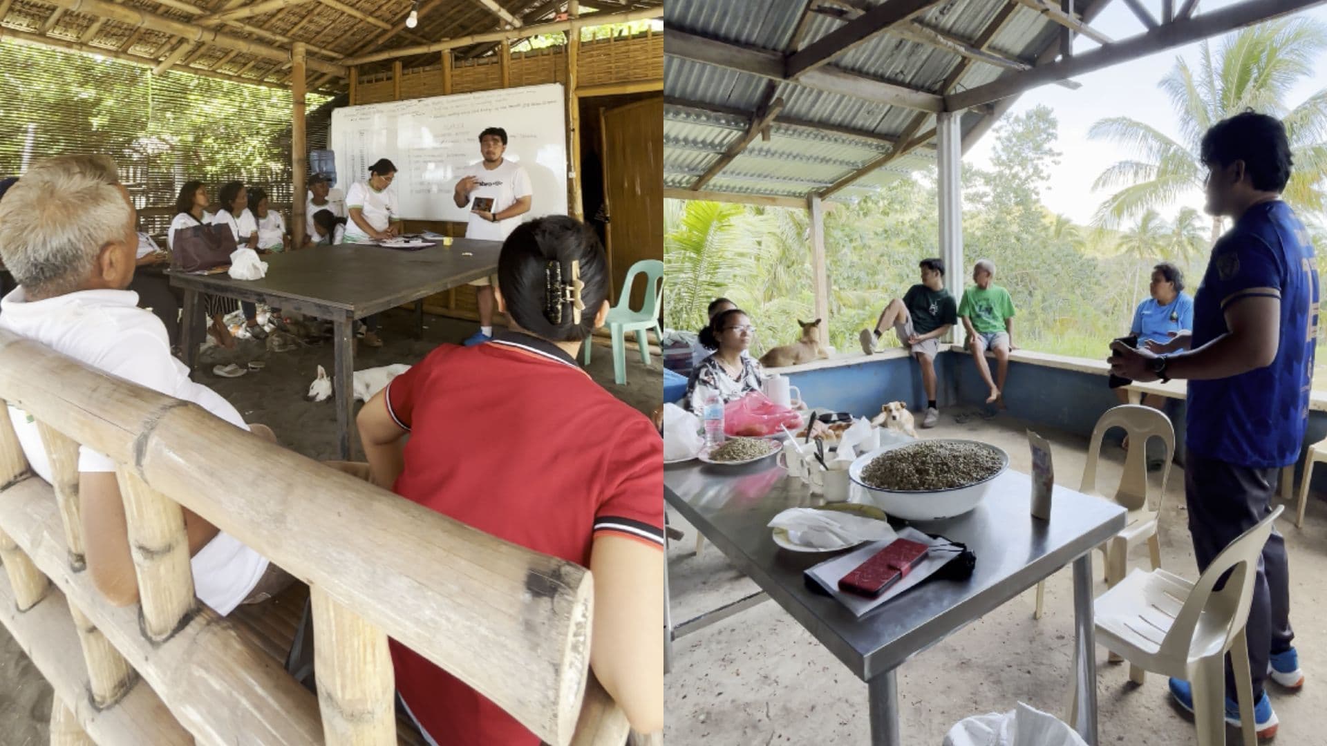 Two Days, Two Realities: What I Learned About the Future of Philippine Farming